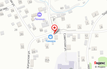Продуктовый магазин Тамара на Советской улице на карте