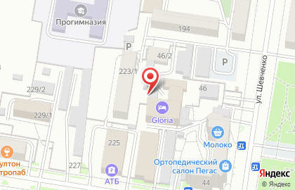 Управление Федеральной службы государственной регистрации, кадастра и картографии по Амурской области Государственный фонд данных, полученных в результате проведения землеустройства на карте