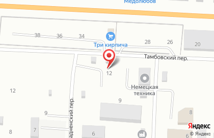 Лесовик в Воронеже на карте