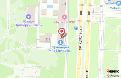 Санкт-Петербугская общественная организация в поддержку молодежи Мир молодежи в Красносельском районе на карте
