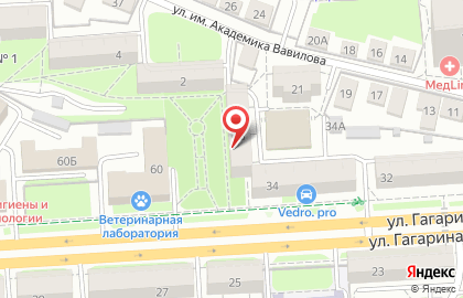 Служба дезинфекции Марафет на улице Гагарина на карте