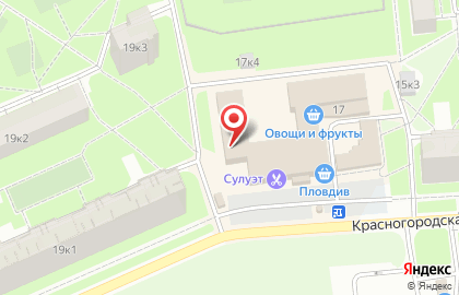 Стоматология Анле-Дент в Красном Селе на карте