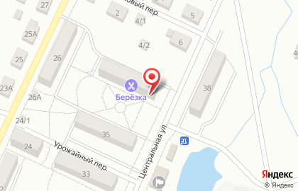 Парикмахерская Берёзка на Центральной улице на карте