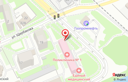 Гемодиализный центр Фесфарм на улице Васенко на карте