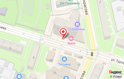Салон Эдем в Пушкино на карте