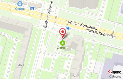 Аптека Озерки в Санкт-Петербурге на карте