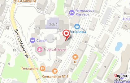 Фотостудия Белая Дача на Виноградной улице на карте