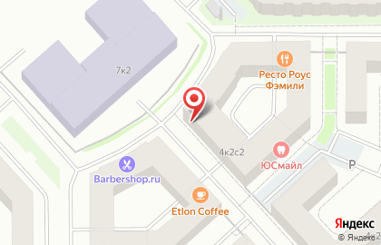 Зоосалон Груминг-Будка в Пушкинском районе на карте