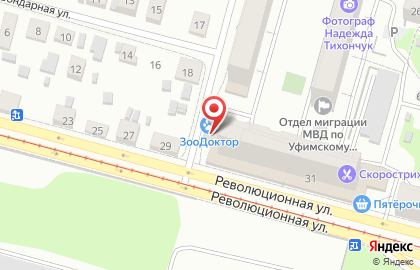 Ветеринарная клиника ЗооДоктор на Революционной улице на карте