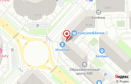 Магазин цветов и гелиевых шаров Игнолия на карте
