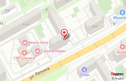 Частное охранное предприятие Сова на улице Репина на карте