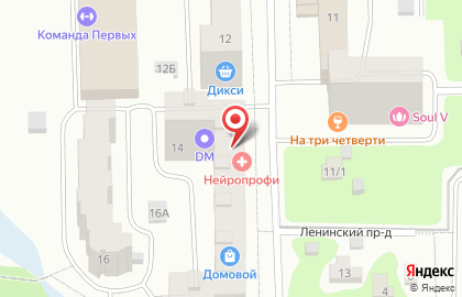 Салон груминга Mini.pro на Ленинской улице на карте