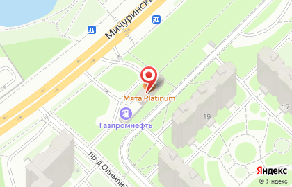 Кальян-бар Мята Platinum Olimp на Мичуринском проспекте на карте