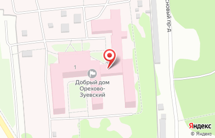 Орехово-Зуевский психоневрологический интернат на карте