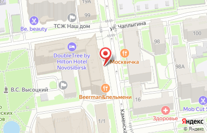 Визовый центр Германии ВИЗАМЕТРИК в Центральном районе на карте
