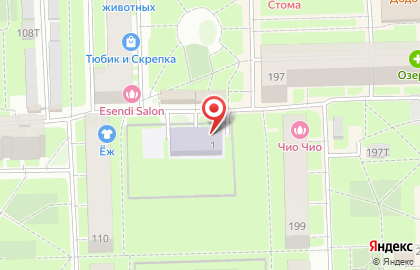 Средняя общеобразовательная школа Берегиня №684 с дошкольным отделением в Московском районе на карте