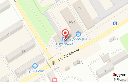 Магазин семян Огородник на улице Гагарина на карте