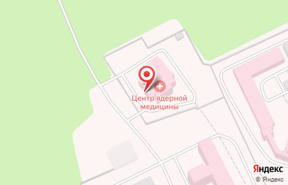Центр ядерной медицины ЛДЦ МИБС в переулке Мичурина на карте