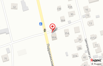 Ветеринарная клиника Ветпомощь «Любимчик» в деревне Подушкино на карте