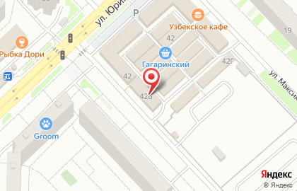 Рыболовный успех на улице Юрия Гагарина на карте