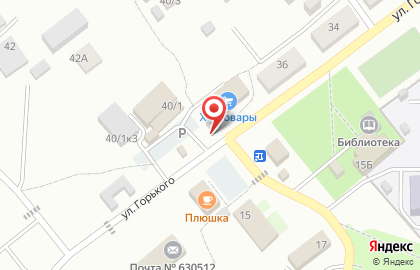 Киоск по продаже фруктов и овощей в Новосибирске на карте