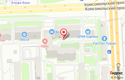 Компания Натяжные потолки ЭВИТА на Комсомольском проспекте в Курчатовском районе на карте