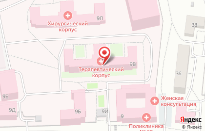 Городская больница №40 в Сестрорецке на карте