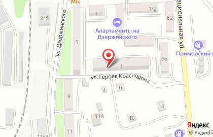 Камелия во Владивостоке на карте