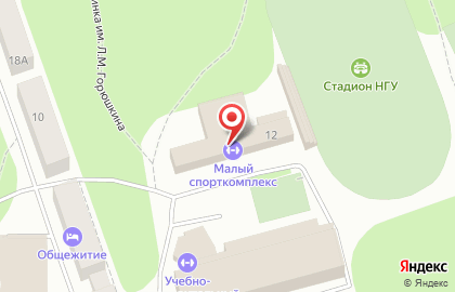 НГУ Учебно-спортивный оздоровительный центр на улице Пирогова на карте