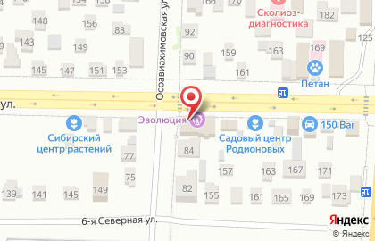 ООО Стройинвестфинанс в Центральном округе на карте