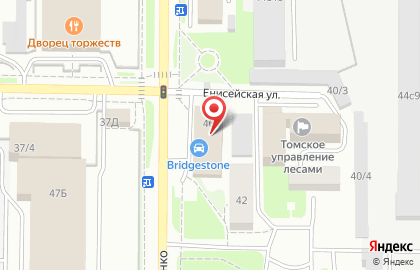 Автоцентр Бриджстоун на улице Шевченко на карте