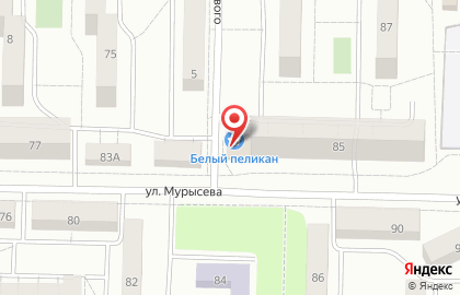 Магазин Пеликан на улице Мурысева, 85Б на карте
