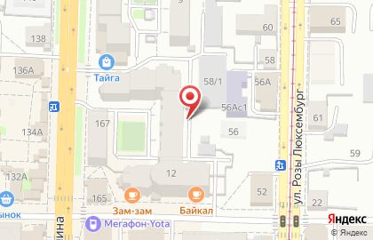 Ветеринарная клиника Центральная на проспекте Ленина на карте
