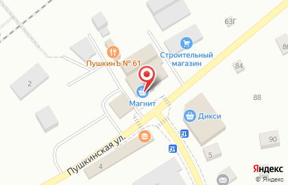 ХАТИКО, зооцентр на Пушкинской улице на карте