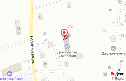 Детский сад Соколенок на Родниковой улице на карте