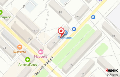 Магазин Цветочный рай на Пионерской улице на карте