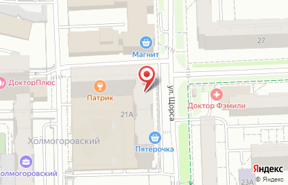 Магазин зоотоваров Хвоост на улице Холмогорова на карте