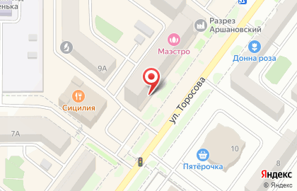 Семейное кафе Абажур на улице Торосова на карте