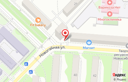 Пижон на Геодезической улице на карте