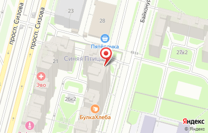 Аптека Озерки в Санкт-Петербурге на карте