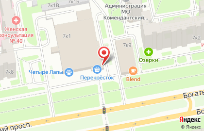 Фитнес-клуб Alex Fitness на Богатырском проспекте на карте