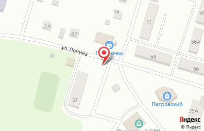 Магазин цветов, семян и сувениров цветов, семян и сувениров на улице Ленина на карте