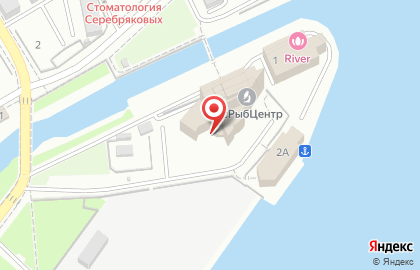 Алтайская торгово-промышленная палата в Центральном районе на карте