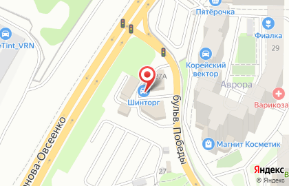 Автомагазин Шинторг на улице Антонова-Овсеенко на карте