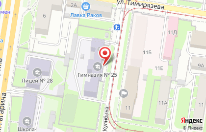 Гимназия №25 им. А.С. Пушкина в Нижнем Новгороде на карте