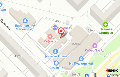 Магазин в Казани на карте