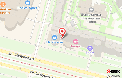 Турфирма Крона на улице Савушкина на карте