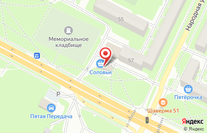 Магазин Соловьи в Пскове на карте