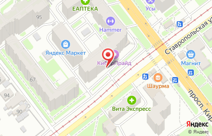 Магазин мясной и рыбной продукции на Ставропольской улице на карте