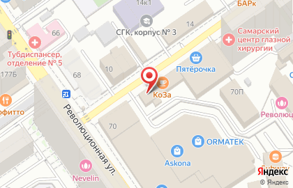 Зоомагазин ЛеМуррр-Самара на Революционной улице на карте
